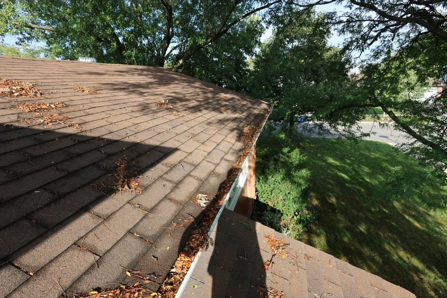 Gutter filled with leaves and debris before cleaning